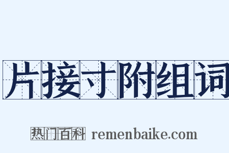 片接寸附组词是什么意思的图片